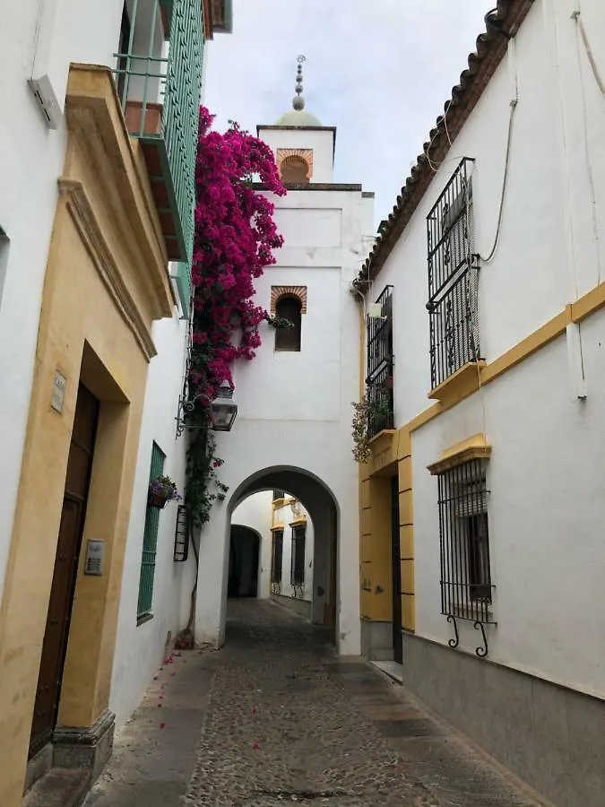 Apartmán El 5 De La Hoguera Córdoba