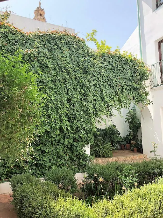 Apartmán El 5 De La Hoguera Córdoba
